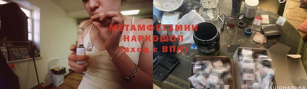 индика Володарск