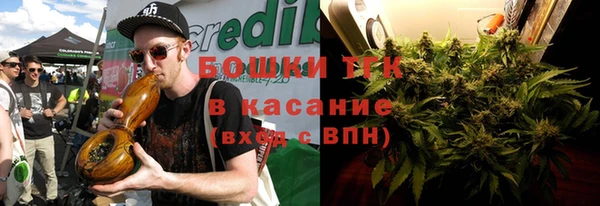 индика Володарск